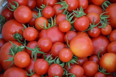 Full frame shot of tomatoes
