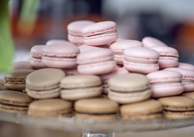 Close-up of macaroons in plate
