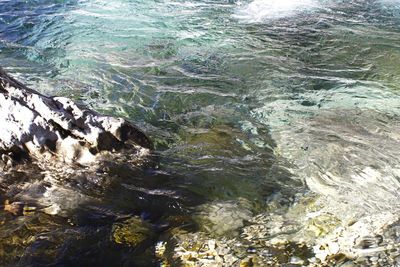 Close-up of rippled water