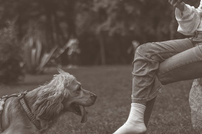 Low section of people with dog outdoors