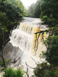 Scenic view of waterfall in forest