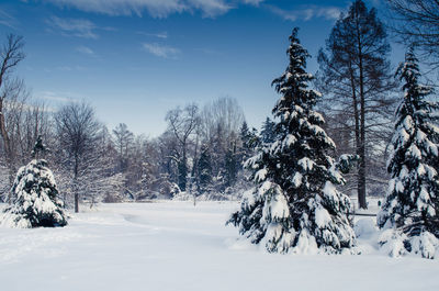 Scenic view of snow covered landscape