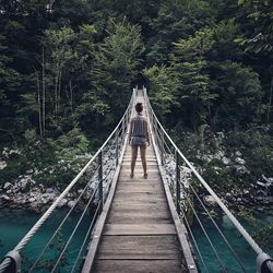 Rear view of woman standing on footbridge over river in forest