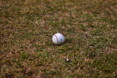 High angle view of ball on field
