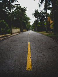 Surface level of road along trees
