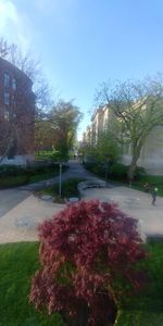 Street amidst plants and buildings in city against sky