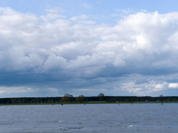 Scenic view of farm against sky