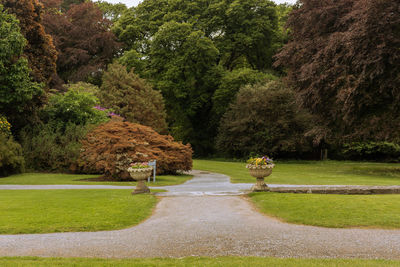 Rear view of a road of flowers in a park in ireland 