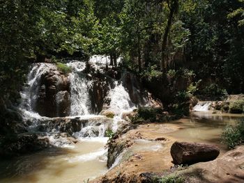 Scenic view of waterfall in forest