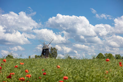 Scenic view of flowering plants on field against sky