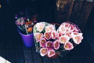 Close-up of pink flowers