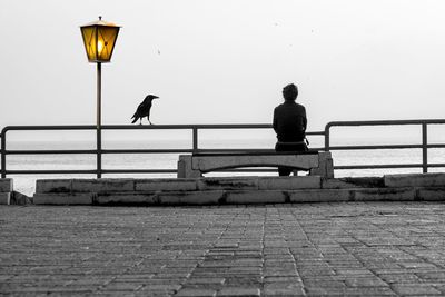 Rear view of woman looking at sea while sitting on promenade