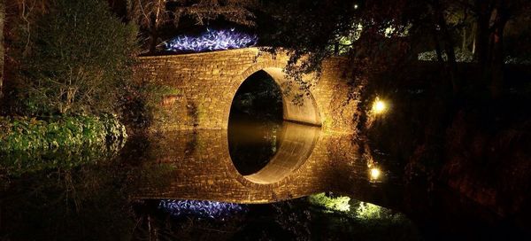 Reflection of trees in water