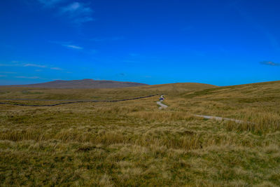 Scenic view of grassy field against blue sky