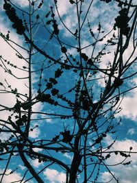 Low angle view of silhouette trees against blue sky