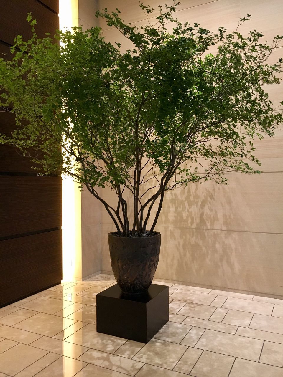 POTTED PLANT IN VASE AGAINST WALL