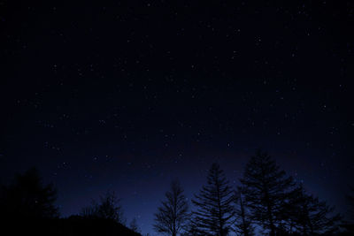 Low angle view of silhouette trees against sky at night