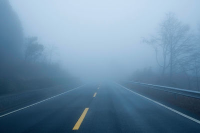 Empty road along trees