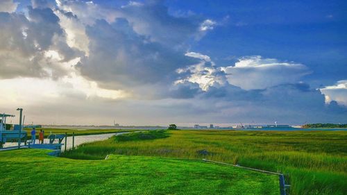 Scenic view of agricultural field against sky