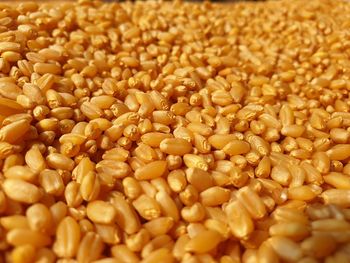 Full frame shot of corn