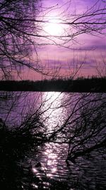 Silhouette bare tree by lake against sky during sunset