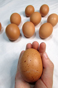 Close-up of hand holding eggs