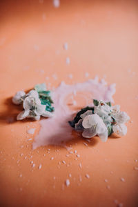 Close-up of flower on table