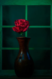 Close-up of rose in vase