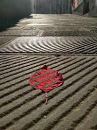 Close-up view of red leaf