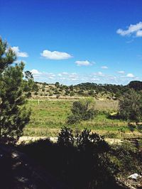 Scenic view of field against cloudy sky