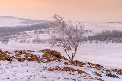 Scenic view of frozen landscape against sky