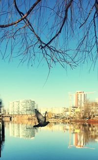 Reflection of city on water