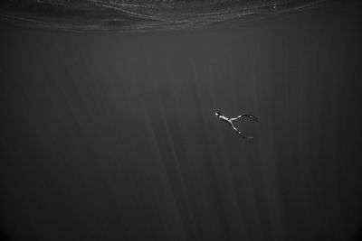 Low angle view of airplane flying against sky