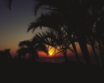 Silhouette palm trees against sky during sunset