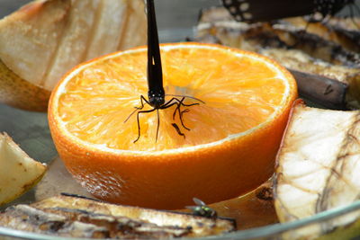 Close-up of pumpkin in container