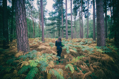 Man standing by trees in forest