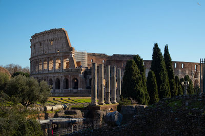 Views of roman coliseum, roman colosseum, rome, lazio. italy