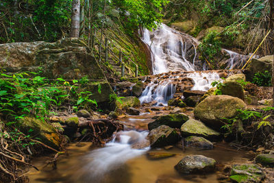 Waterfall in forest