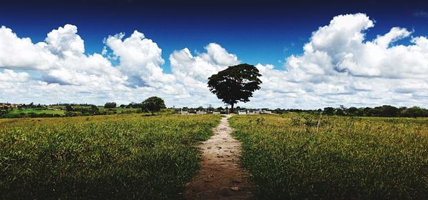 Panoramic view of field against sky