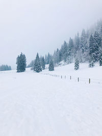 Trees on snow covered field against sky