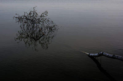 High angle view of tree by lake against sky