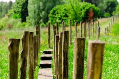 Wooden fence on field