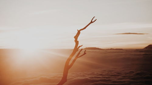 Dead tree on sand against sky