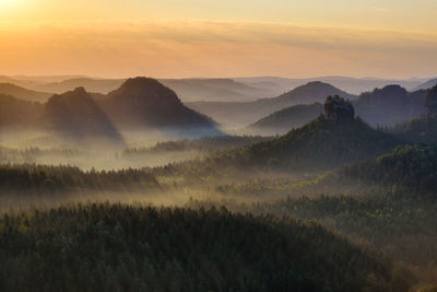 Scenic view of forest against sky during sunset