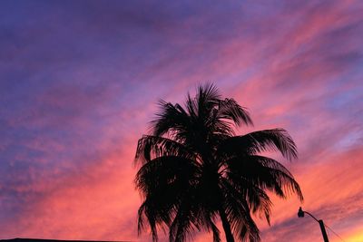 Silhouette of palm trees against cloudy sky