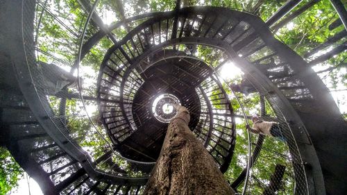 Low angle view of trees