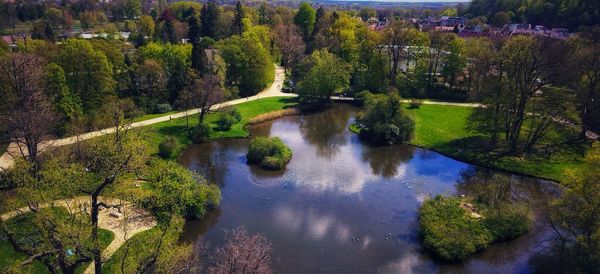 Scenic view of lake in forest