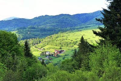 High angle view of trees on field against sky