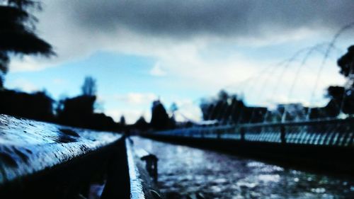 Close-up of plant against cloudy sky
