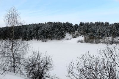 Bare trees on snow field against sky